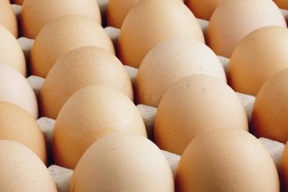 Avrupa'daki kuş gribi Türk yumurtasına talebi artırdı