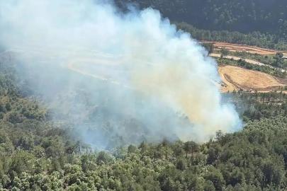 Bursa'da orman yangını: Havadan ve karadan müdahale ediliyor