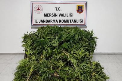 Mersin'de uyuşturucu operasyonunda bir şüpheli tutuklandı