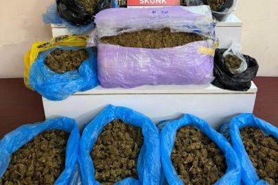 Muğla'da durdurulan otomobilde 5 kilogram skunk ele geçirildi