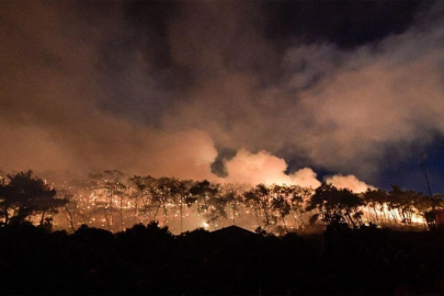 Aliağa ve Foça’da yanan alanlar fidanlarla yeniden yeşerecek